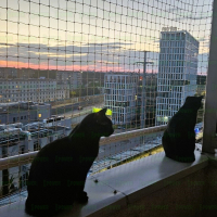 BEŻOWA PIASKOWA 40x40 mm, grubość 1.5 mm